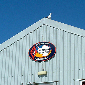 bird over entrance