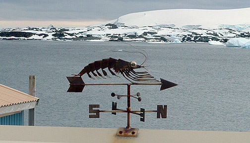 Handmade weather vane