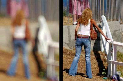 Combination picture shows a woman reaching to touch a fence post (image on right) that some Catholics believe appears as a likeness of the Virgin Mary at a lookout near Coogee beach in Sydney's eastern suburbs February 6, 2003. For more than a week devoted Sydney Catholics have been flocking to a vantage point about 300 metres (1,000 feet) from the small wooden fence which, when viewed at certain times each afternoon through squinted eyes (image on left), is believed to be a likeness of the Virgin Mary. Photo at left was deliberately shot out of focus to give an impression as if a person were squinting. Photo by Tim Wimborne
