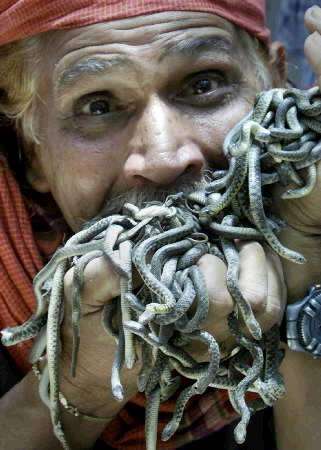 Dudu Meah, a Bangladeshi snake charmer, holds deadly young cobras near Dhaka on April 30, 2002. Photo by Rafiqur Rahman