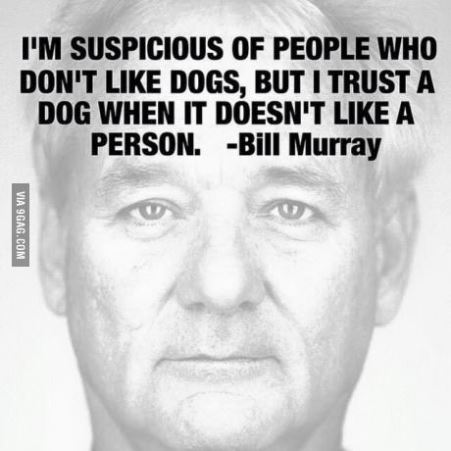 bill murray dogs bartcop entertainment archives tuesday 15 september 2015 bill murray dogs bartcop entertainment archives tuesday 15 september 2015