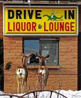 A pair of deer peers through a drive-in liquor store window Friday, March 27, 2009 in Medicine Bow, Wyo.  Photo by Alison Simpson
