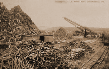 Johnsonburg 'Wood Pile'