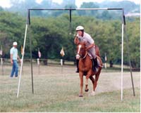 Spearing the ring at a jousting event. (Photo by R.A.R.E., courtesy of Peggy and Bruce Hoffman, Maryland Jousting Tournament Association and Maryland State Archives.)