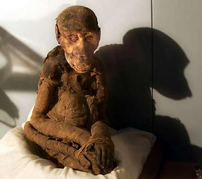 Mummified Monkey