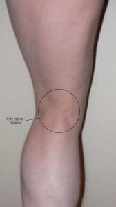 popliteal fossa