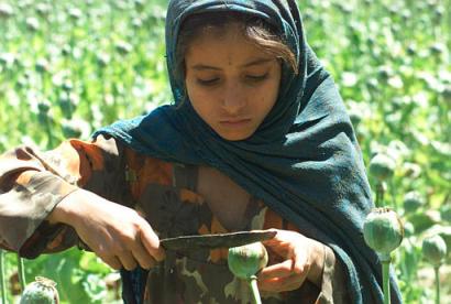 [The Big Picture] Afghanistan tháng 01/2013 | Tinhte.vn - Cộng đồng Khoa học & Công nghệ