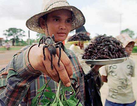 Tum Neang, a 28-year-old spider seller, shows one of his live tarantula's in Skuon, 40 miles east of Phnom Penh, August 25, 2002. Spiders, which were first eaten by desperate refugees under the Khmer Rouge in the late 1970's, have since become a national delicacy. Photo by Chor Sokunthea