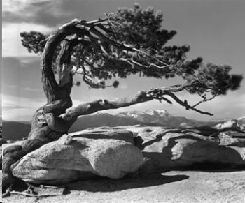 Ansel Adams